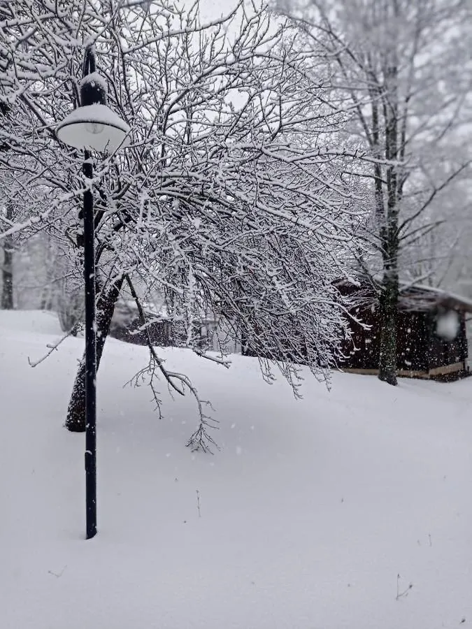 Villaggio Anemone Chalet Scoiattolo Capanne di Sillano Italy