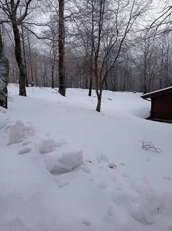Villaggio Anemone Chalet Scoiattolo Capanne di Sillano 0*,  Italy